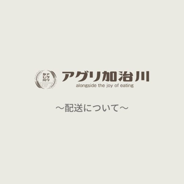 荒天の影響によるお届け遅延の可能性について（2月5日）
