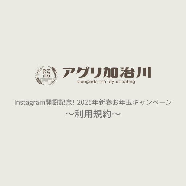 Instagram開設記念！2025年新春お年玉キャンペーンの利用規約
